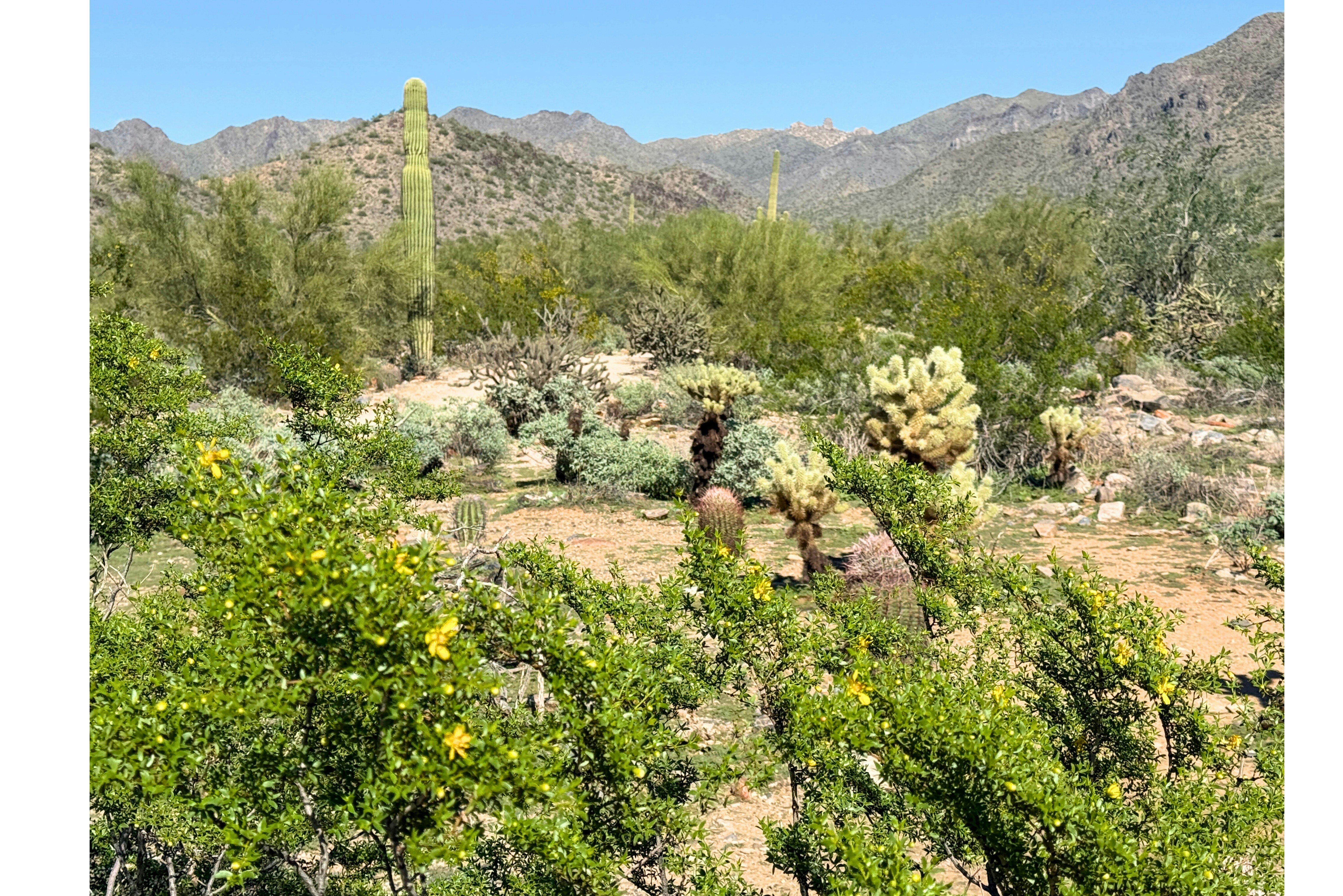 Hilton Scottsdale Resort & Villas 75/77
