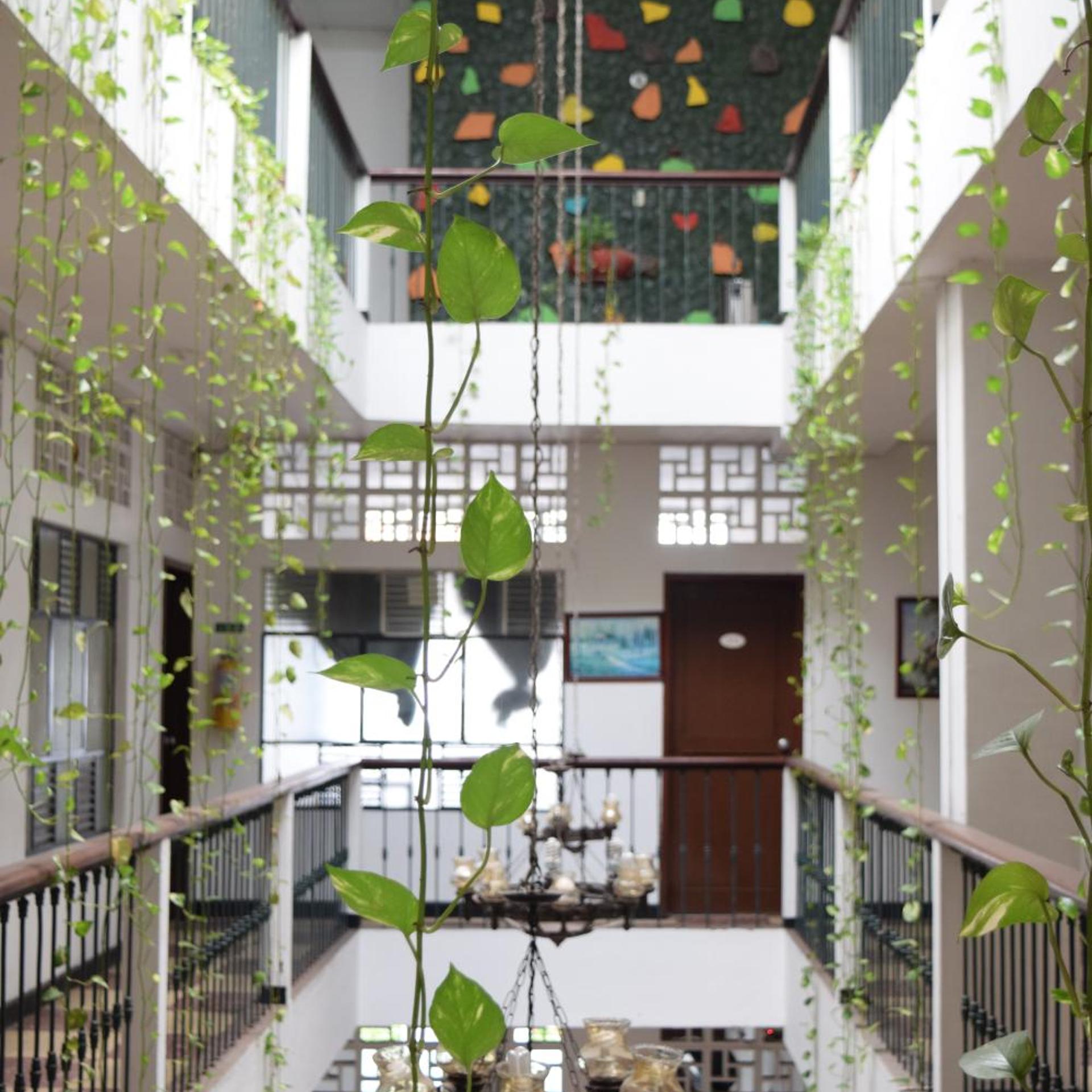 Gran Hotel El Cedro 4/50
