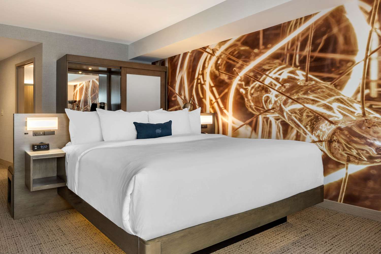 Room, King Bed