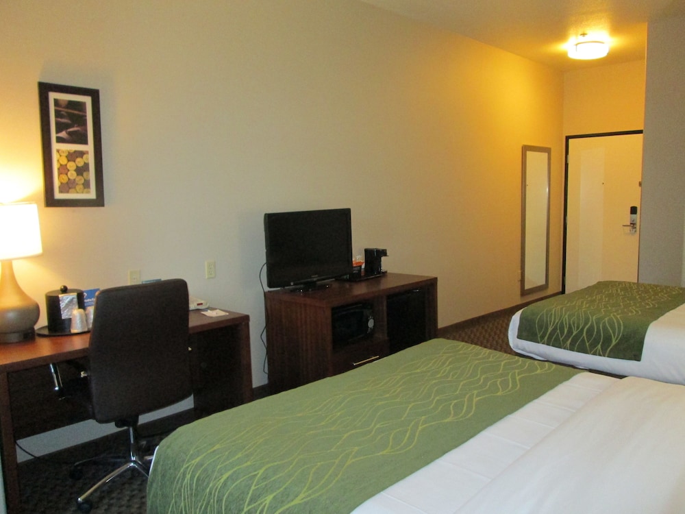 Comfort Inn & Suites Galt Lodi North 14/39