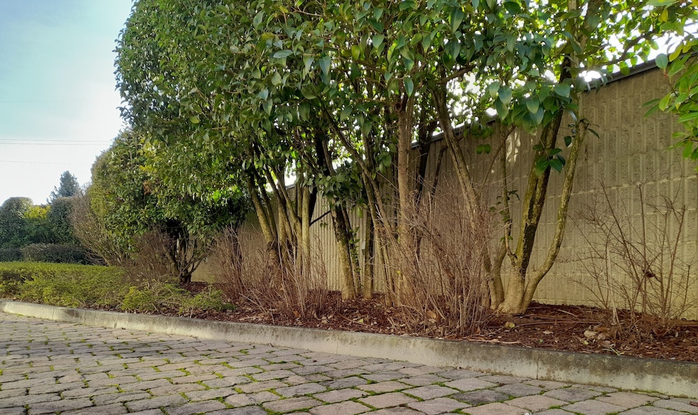 surroundings