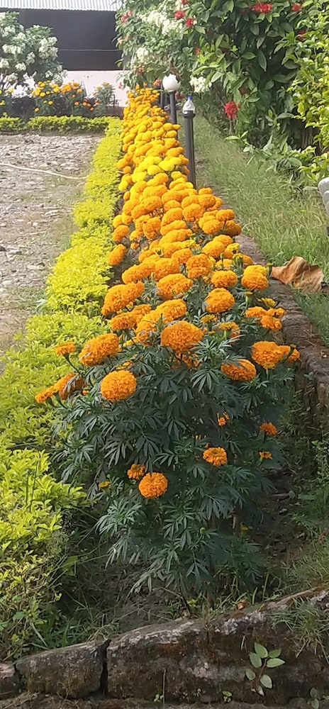 Gorkha Hamlet Resort 29/40