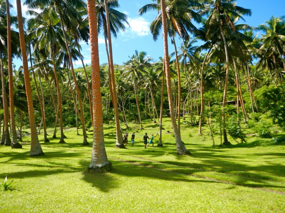 The Remote Resort, Fiji Islands 48/67