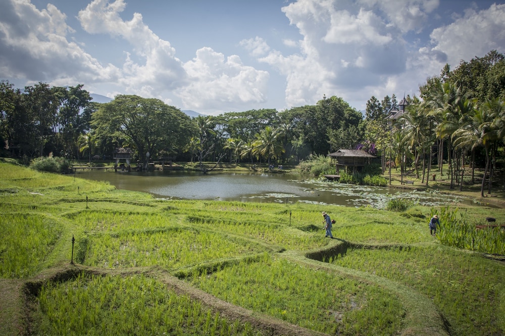 Four Seasons Resort Chiang Mai 90/91
