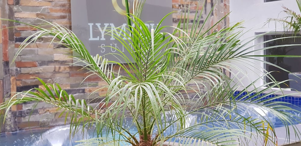 Lymack Suites 27/31