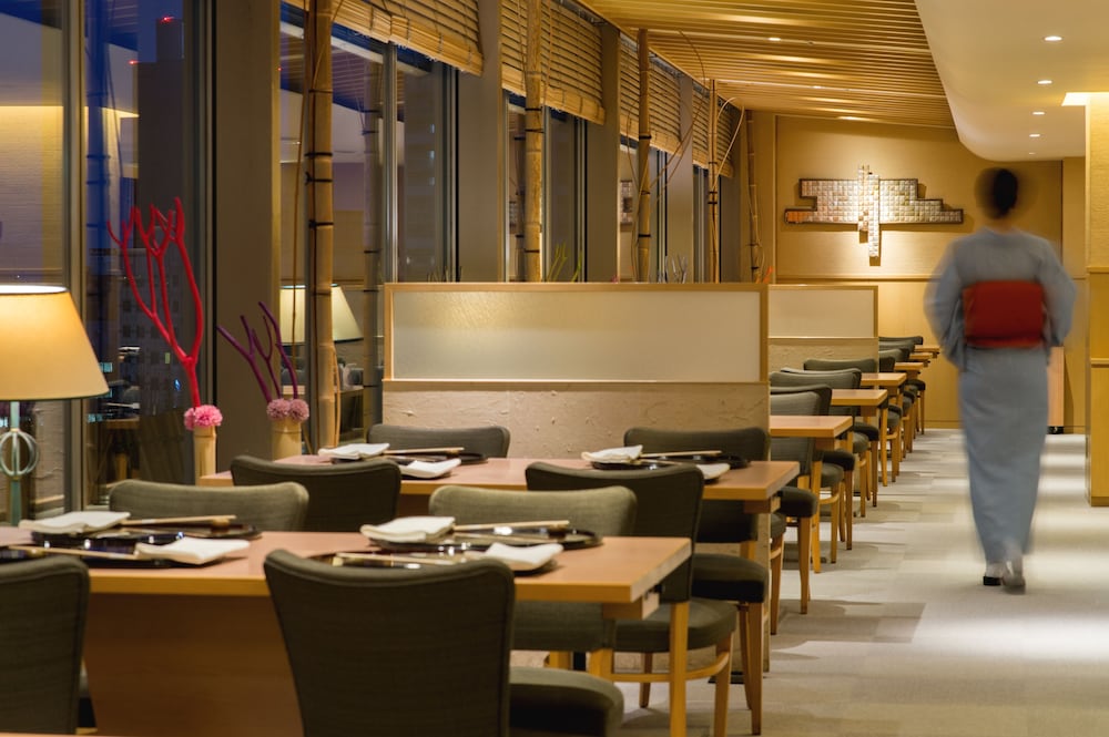 Sapporo Park Hotel 49/75