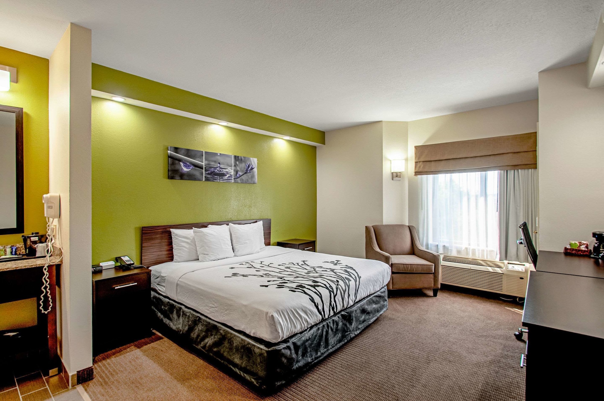 غرفة قياسية بسرير كينج، Garner Hotel Frederick Southeast 3/5