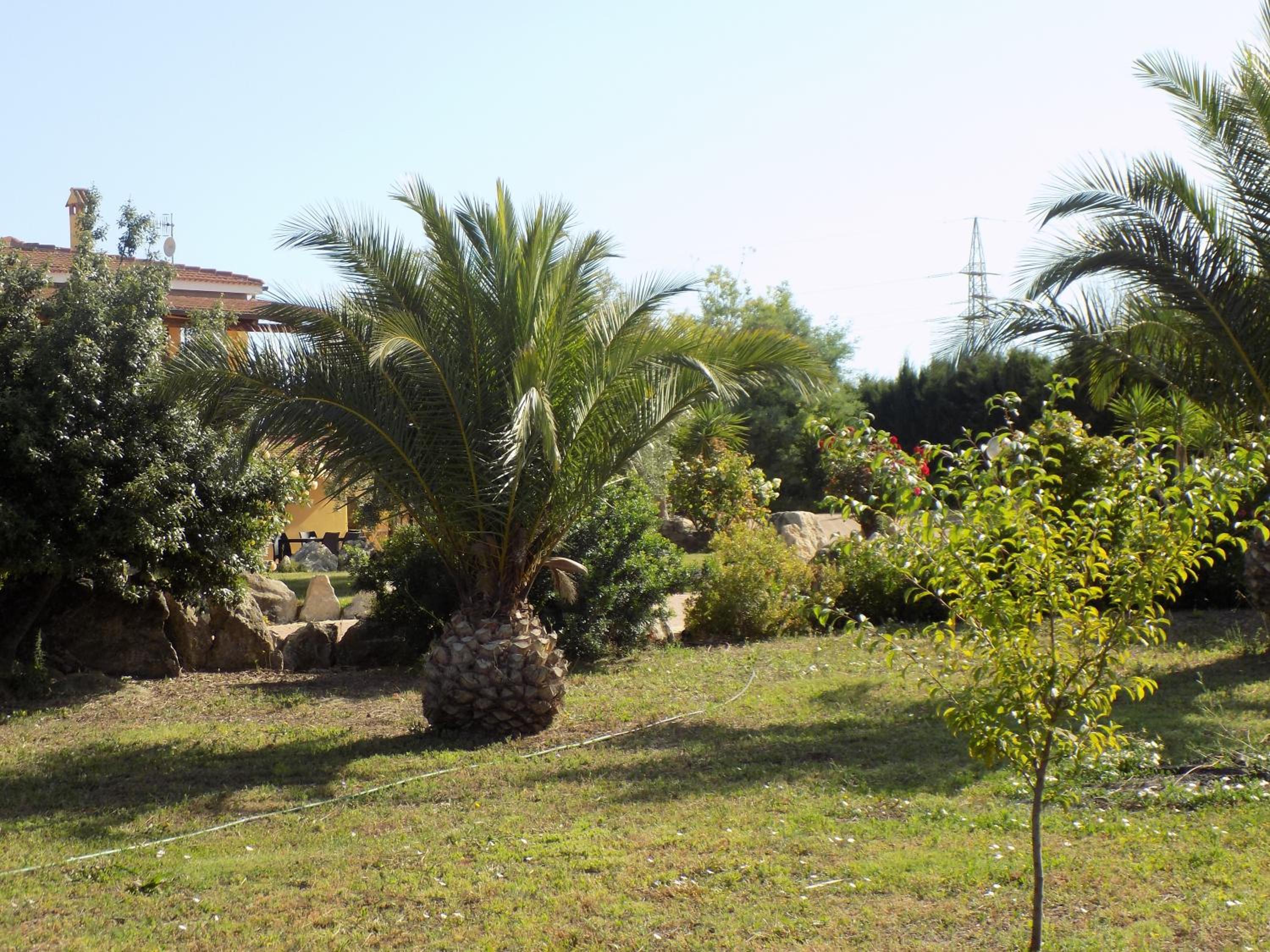 Sorrentina Villa 47/50
