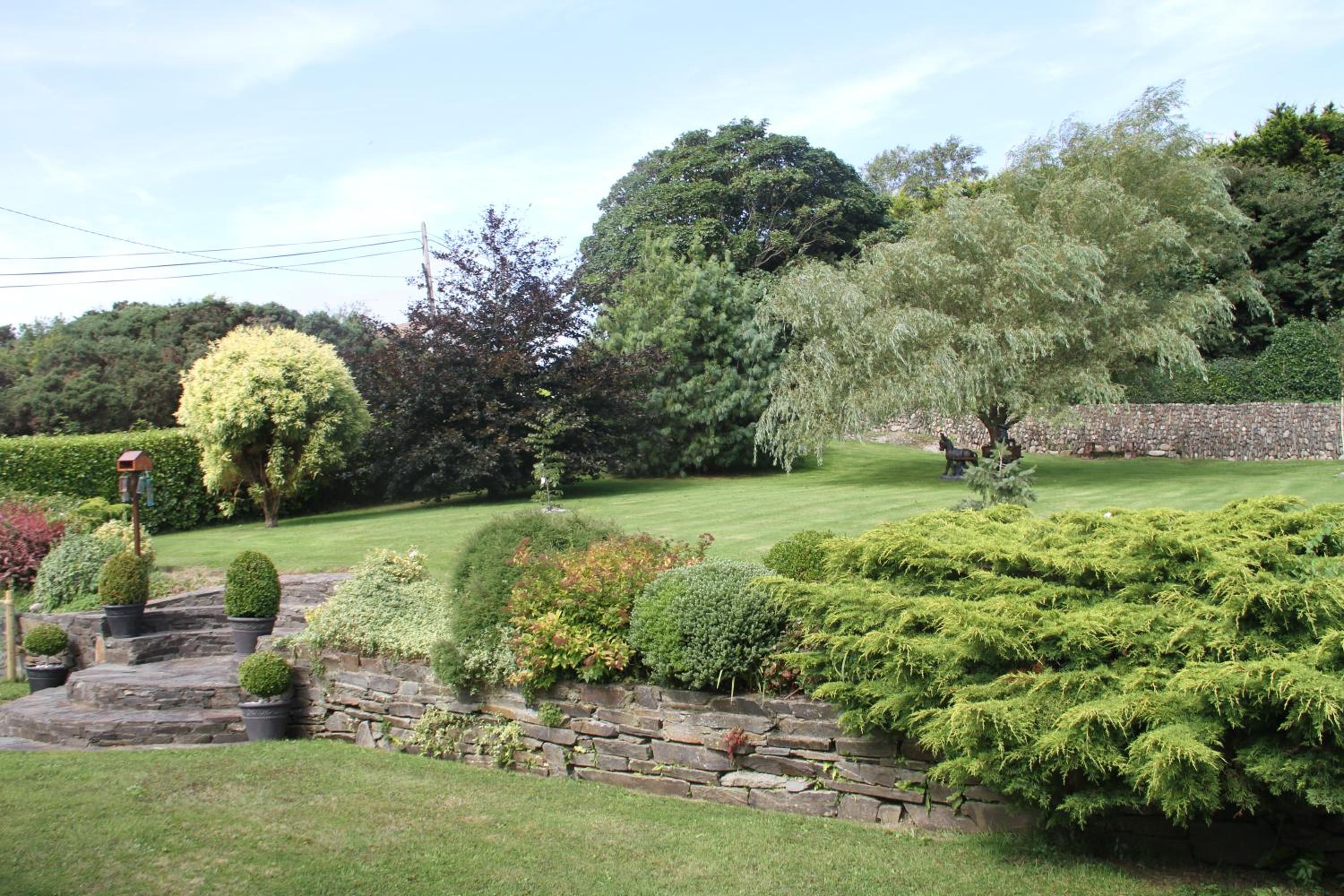 Marguerites B&B 11/21