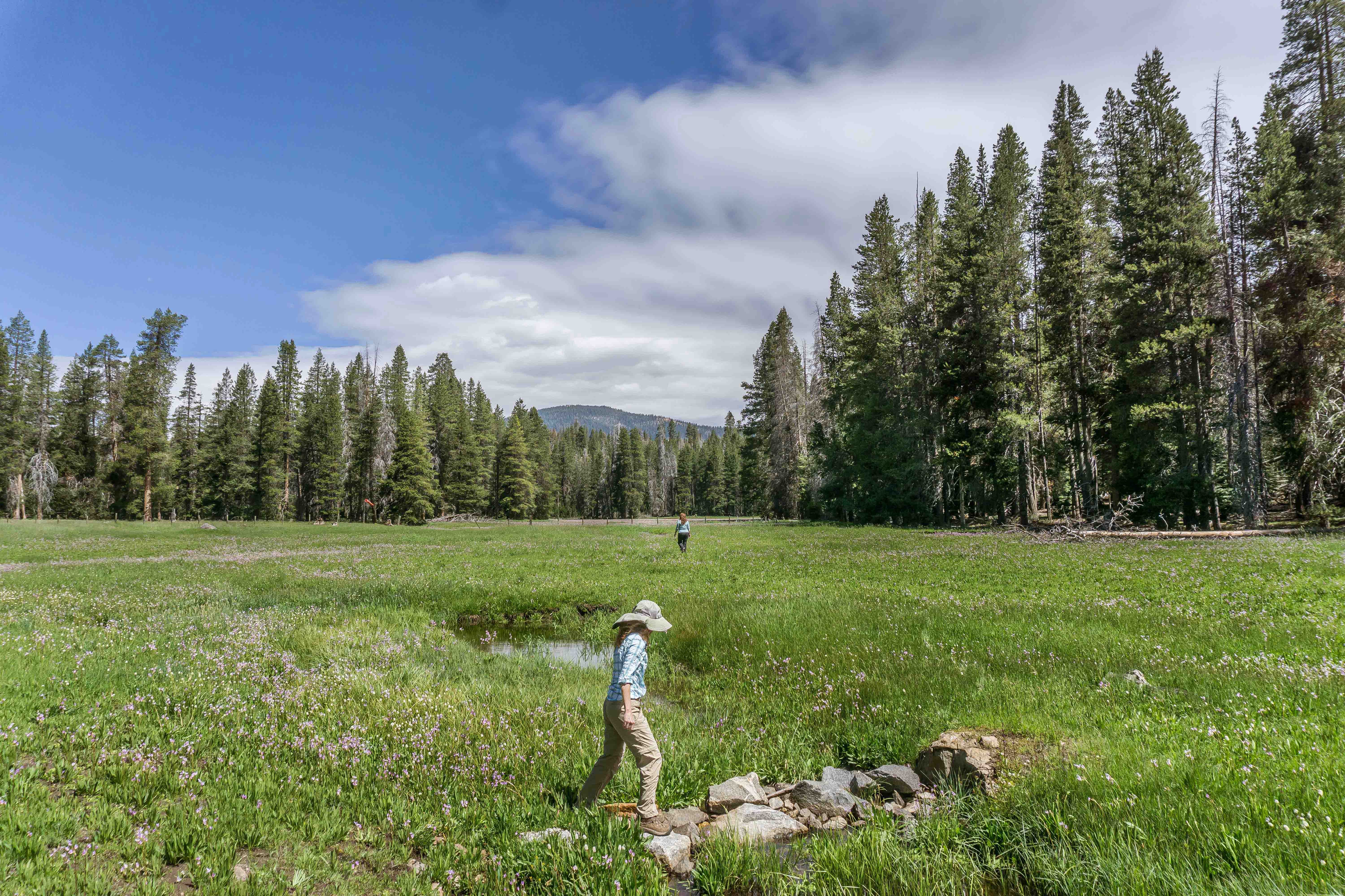 Holiday Inn Express & Suites Oakhurst Yosemite Park Area 45/48