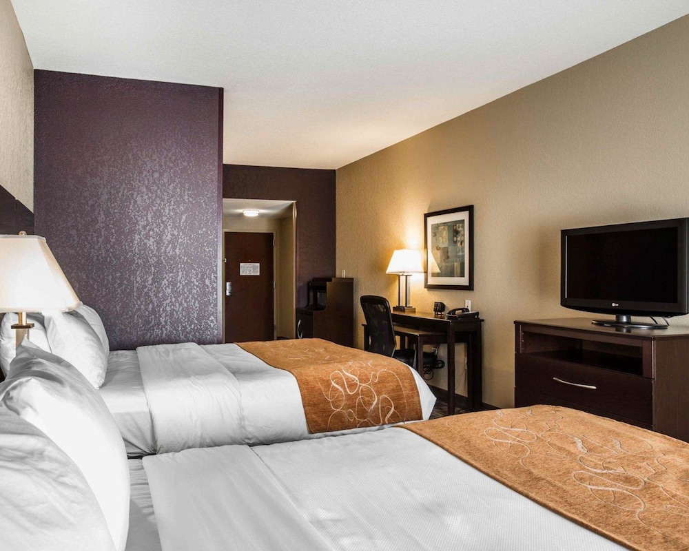 Comfort Suites Whitsett - Greensboro East Whitsett NC 14/41