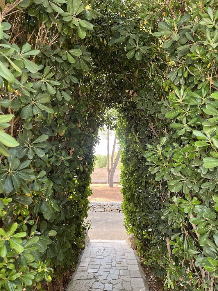 Masseria La Camardia 45/50