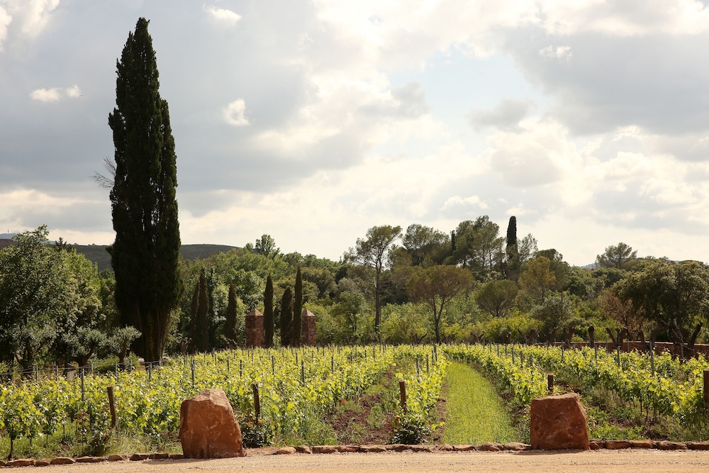 Chateau Saint Roux 51/58