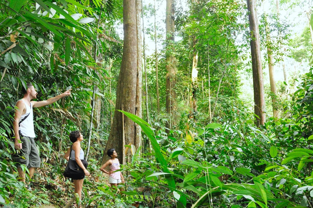 The Dusun 40/50