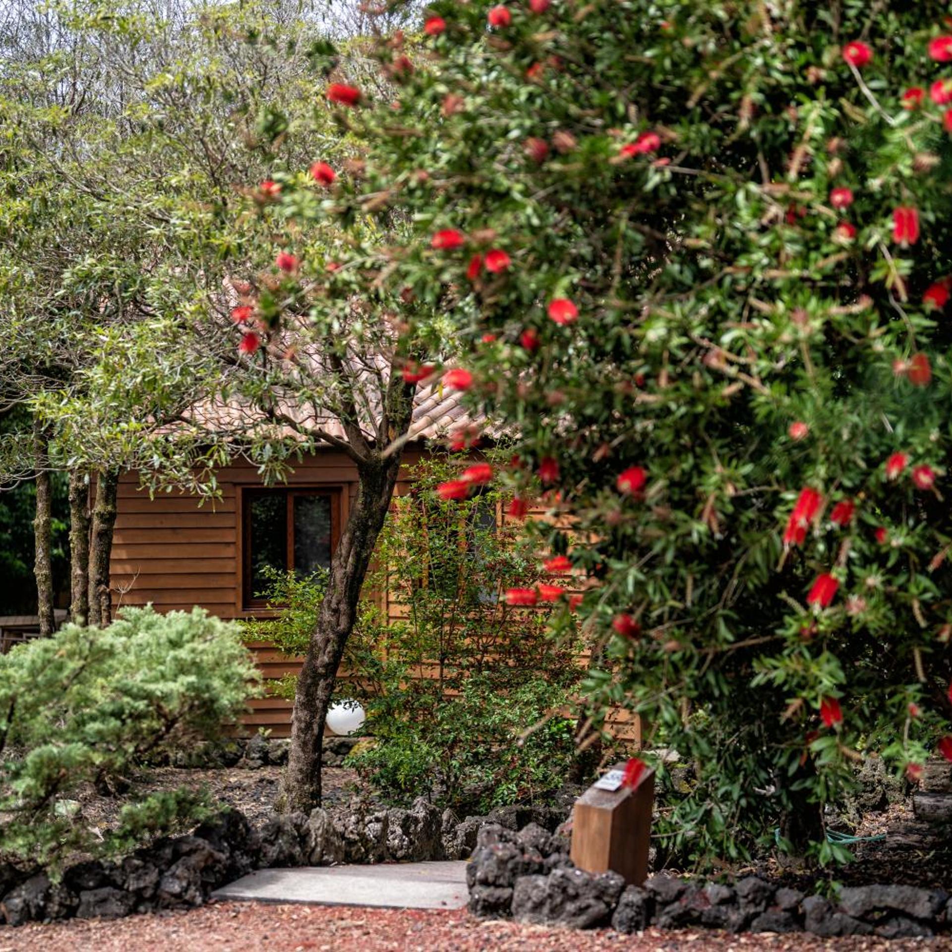 Alma do Pico 40/50