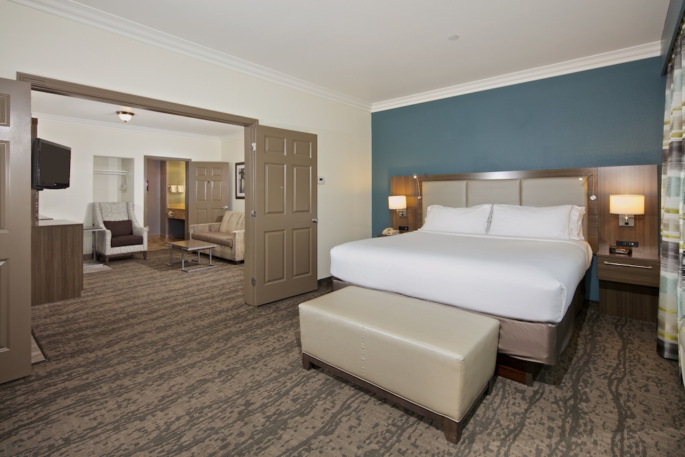 1 Bedroom, Suite, King Bed