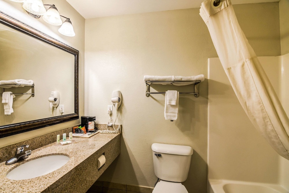 Quality Inn Alexander City 19/53
