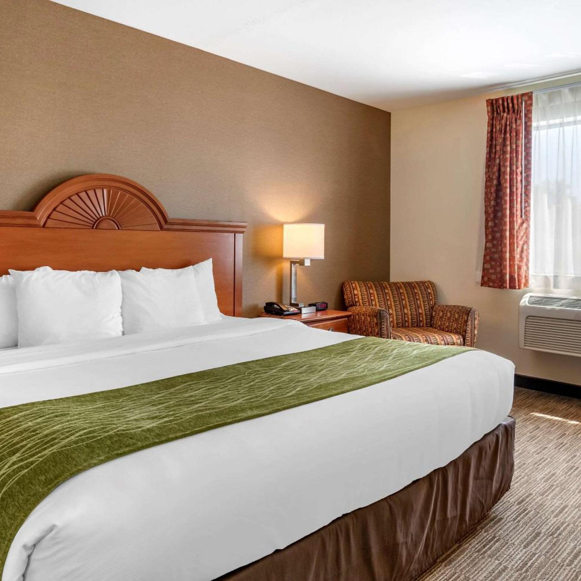 Room, King Bed, Large