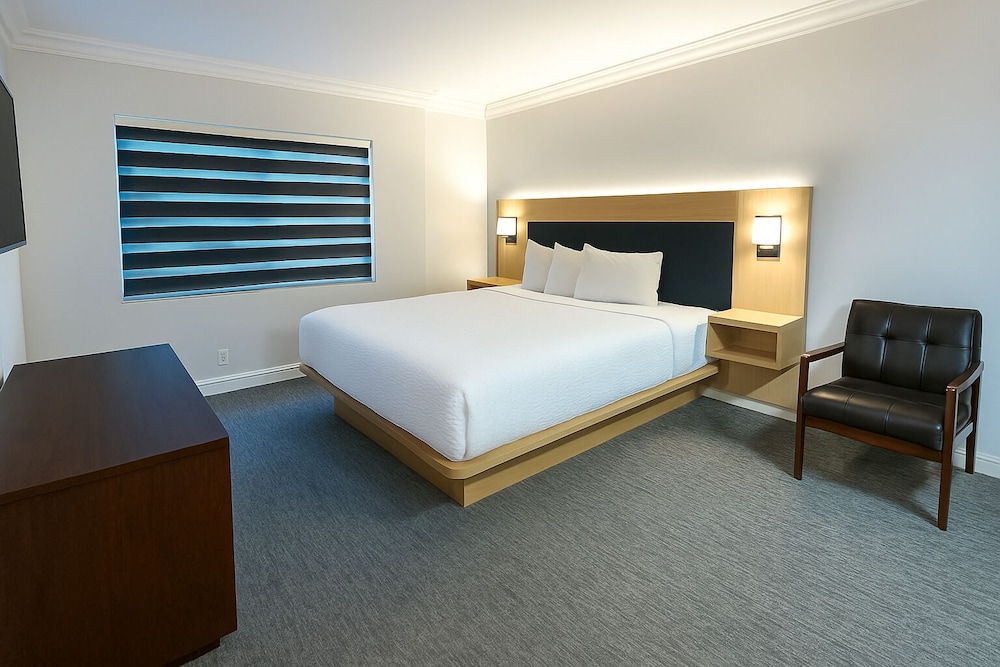 1 BEDROOM, SUITE, KING BED, LIVING AREA, KITCHENETTE