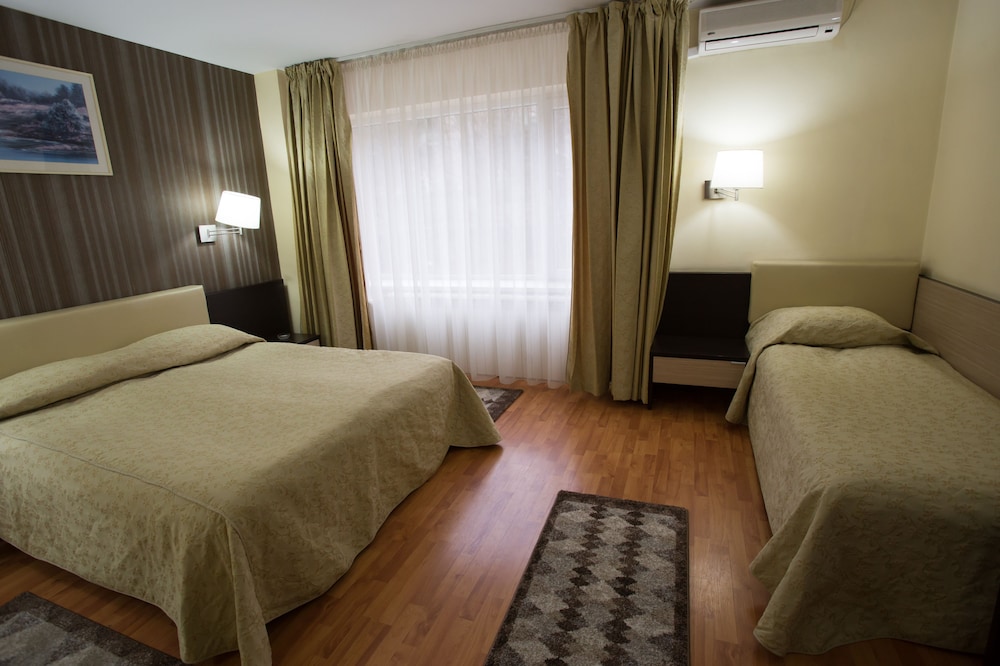 Hotel Rina Sinaia 16/50