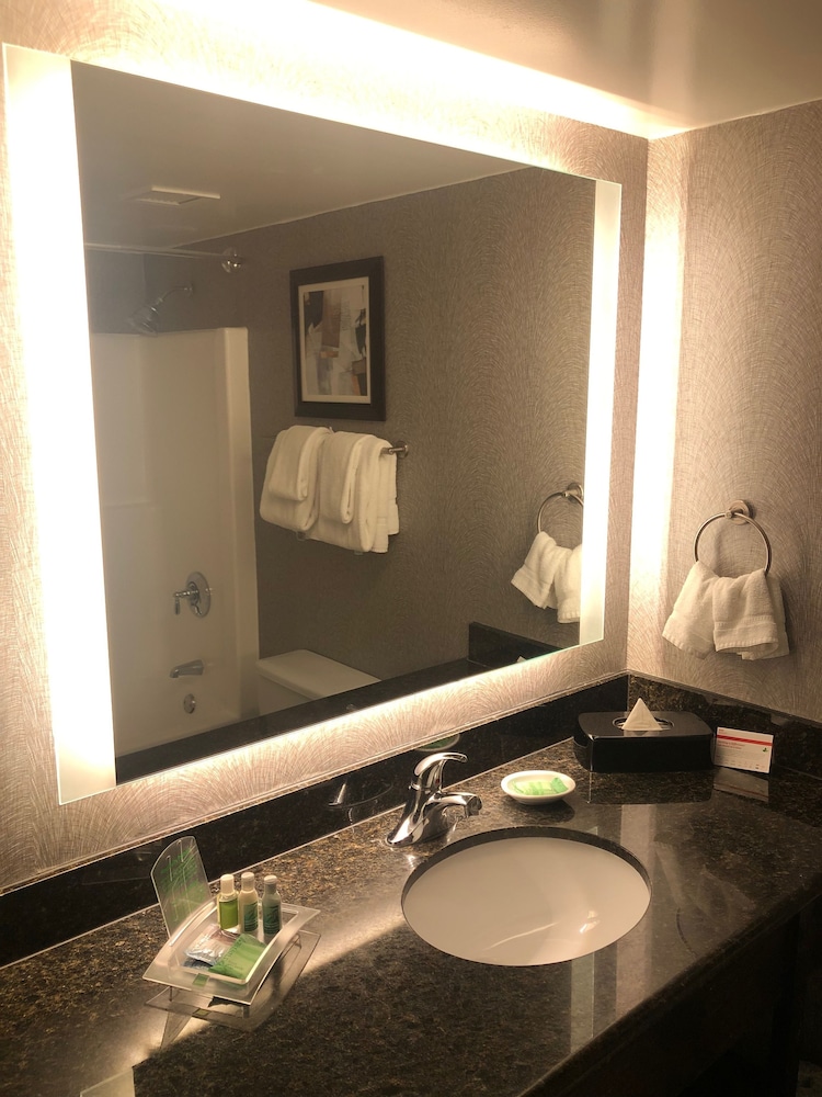 Holiday Inn La Mirada 20/54