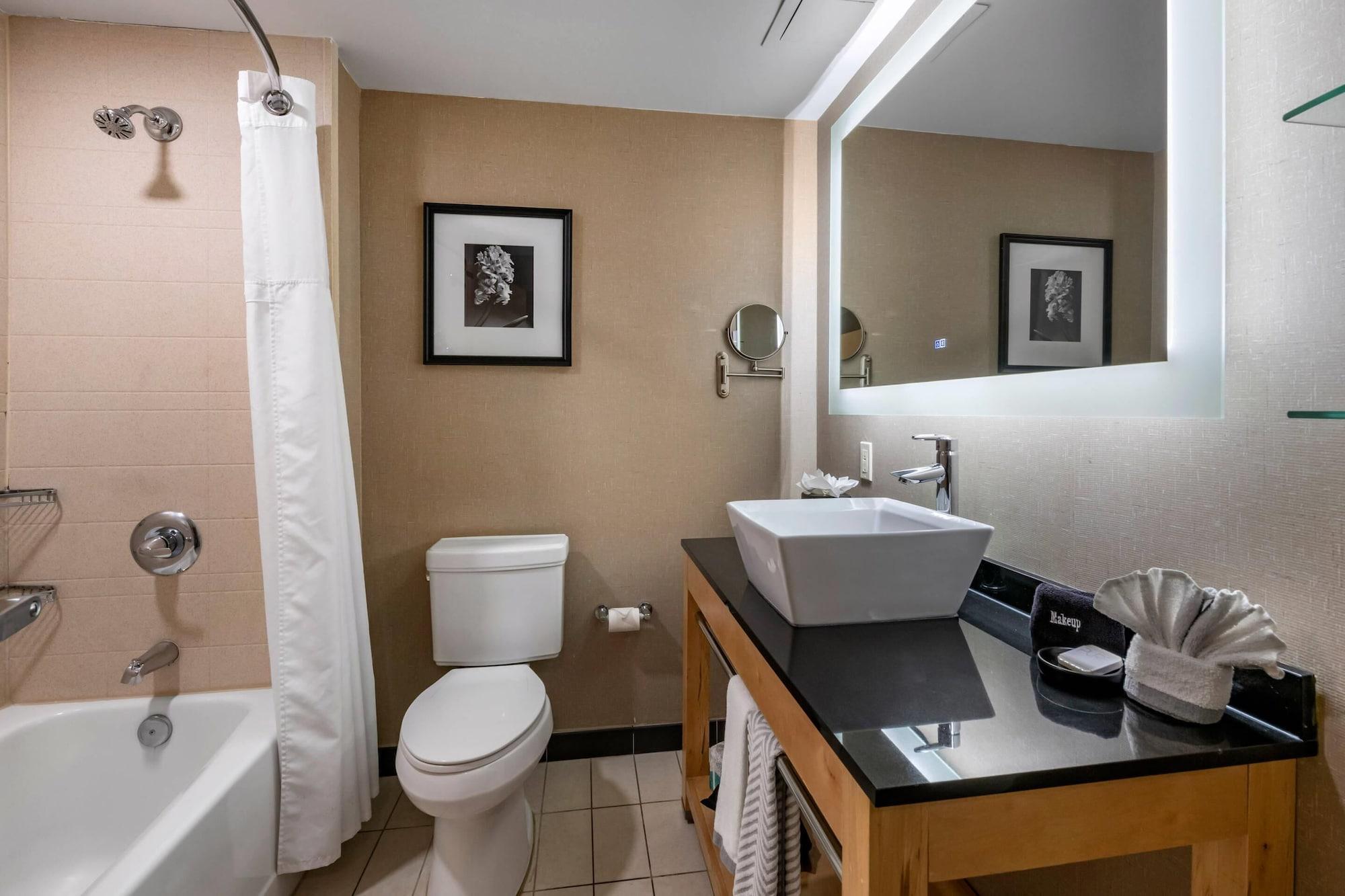 Suite, Multiple Beds, Accessible