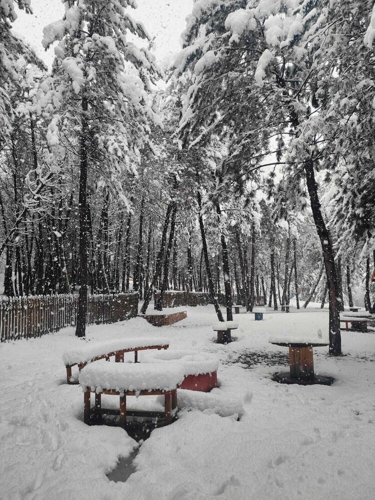 Campinari Doga Evleri & Restaurant 46/50