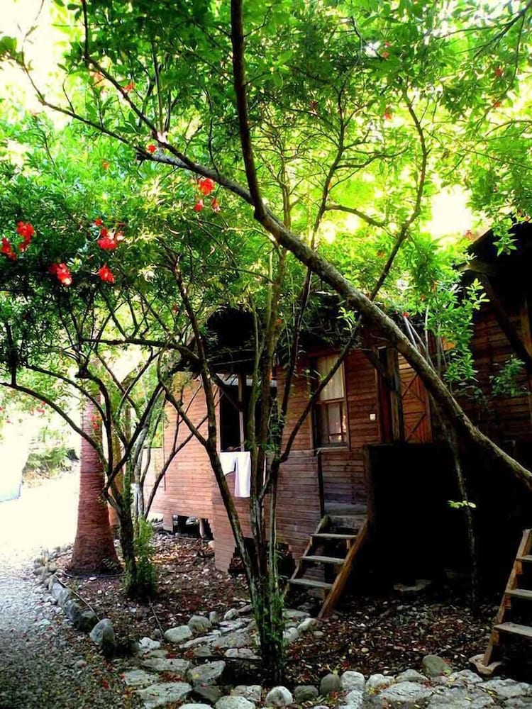 Sheriff Olympos Pension 31/36