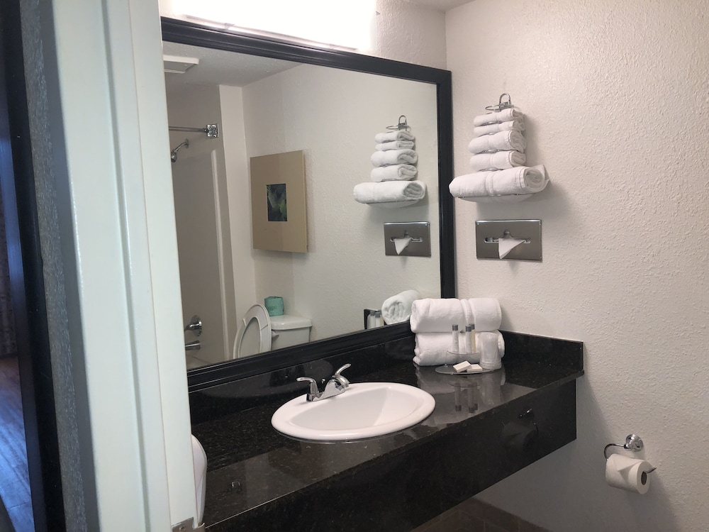 Magnolia Hotel, BW Signature Collection 18/31