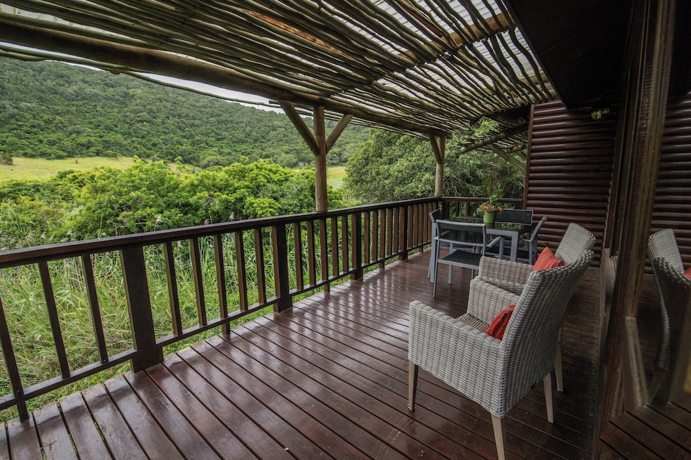 Thunzi Bush Lodge 23/50