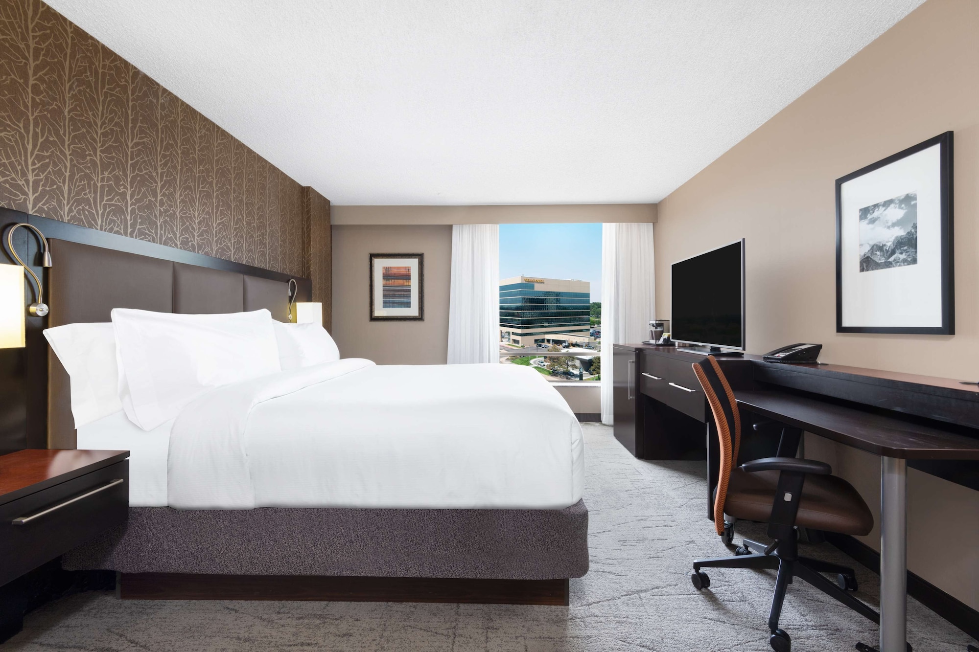 ROOM, KING BED, ACCESSIBLE