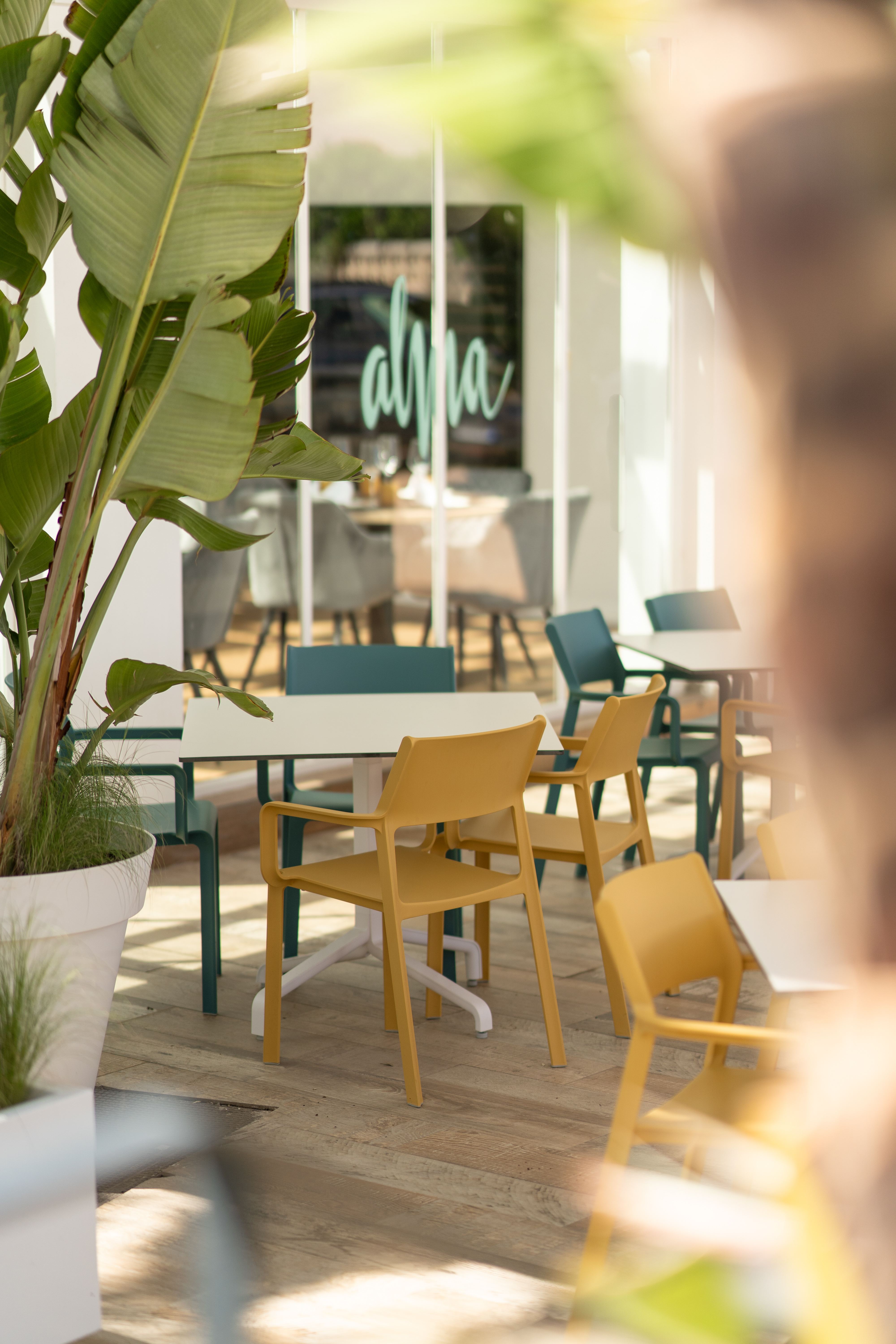 Soul Beach Hotel By Mc 22/28