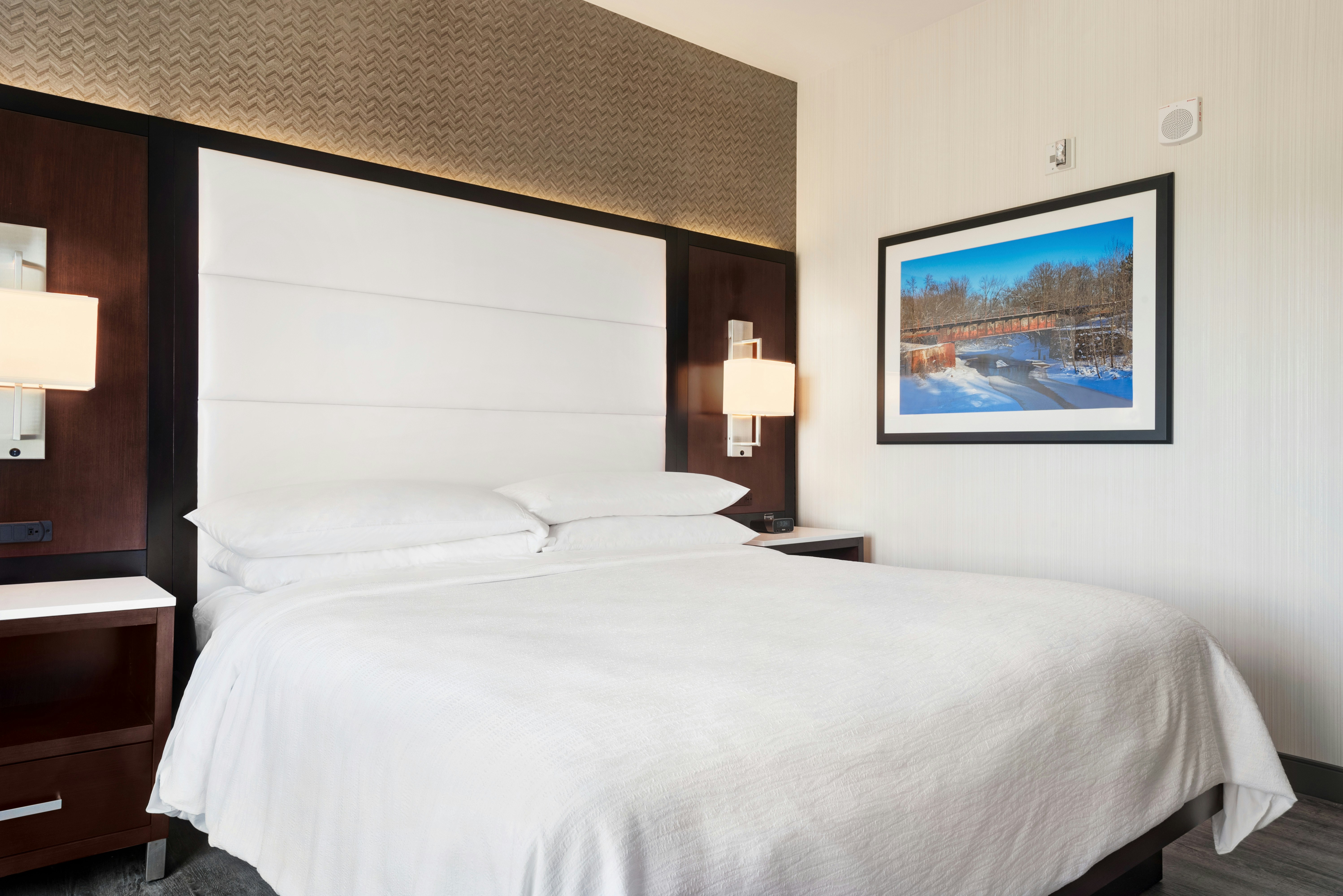 Suite, King Bed, Accessible