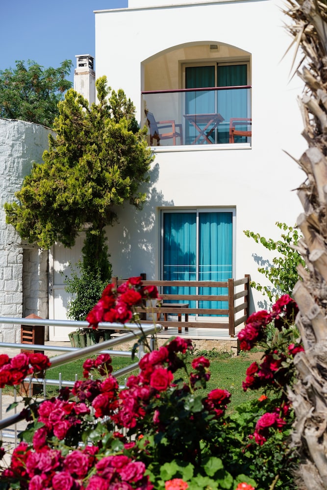 Costa Luvi Hotel 1/26