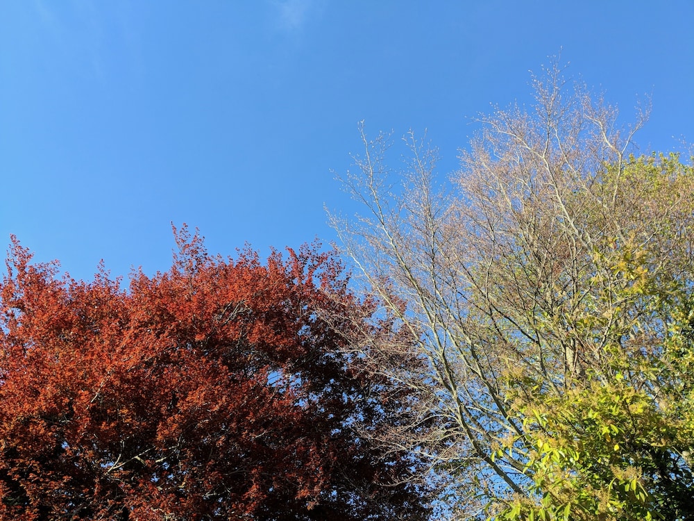 Weirholme Annex 14/30