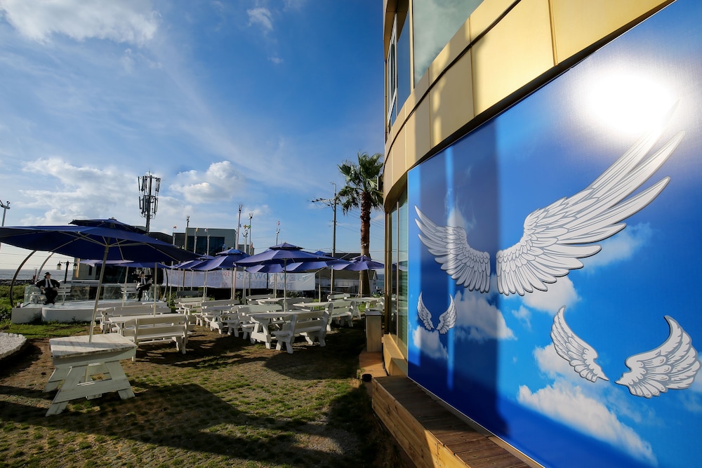 Jeju Miracle Guest House 58/60