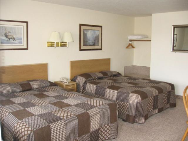 Little Bear Motel 27/43