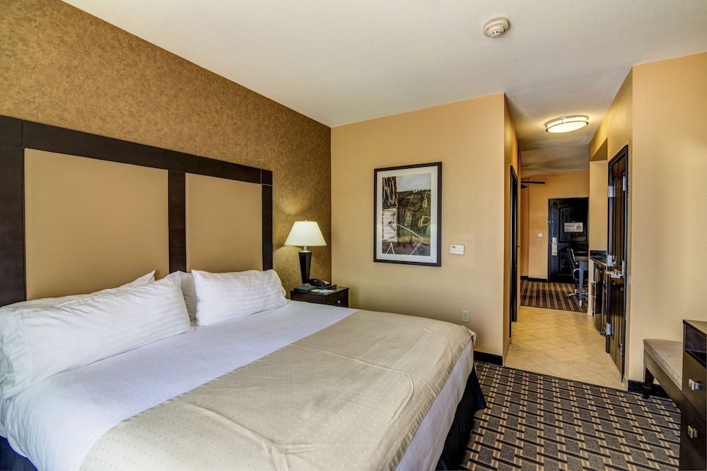 Holiday Inn Arlington Ne Rangers Ballpark 15/69
