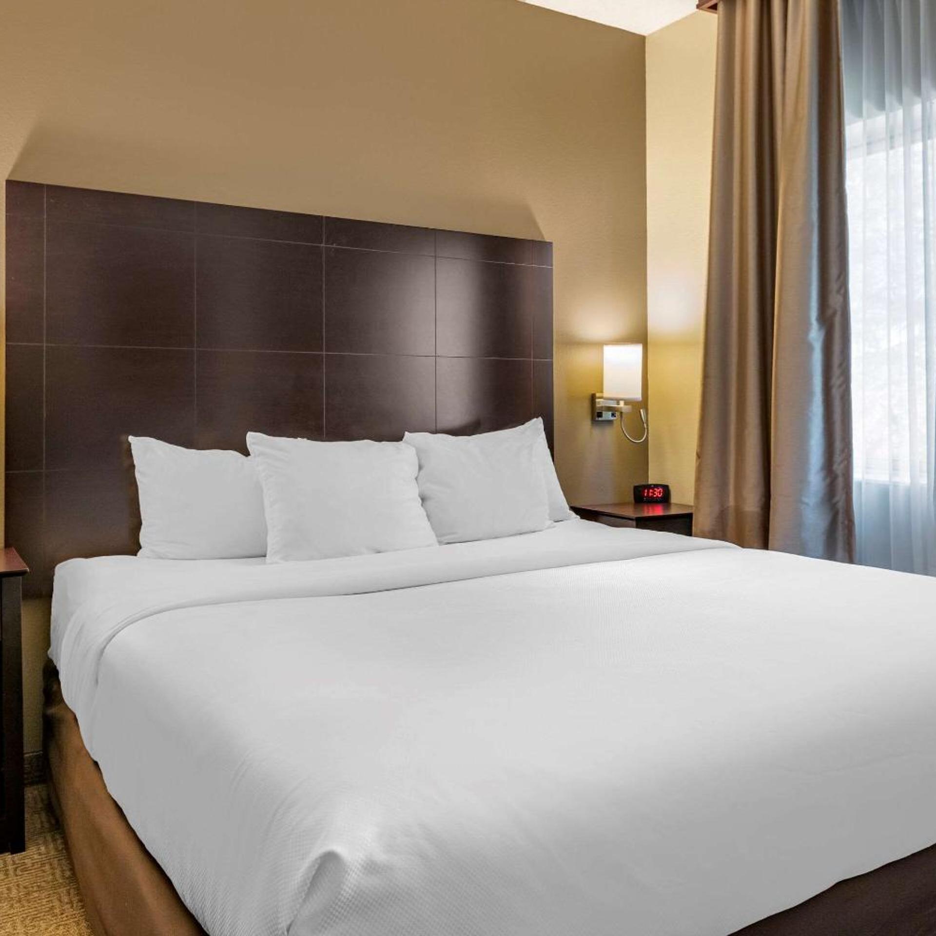 Efficiency, Suite, King Bed