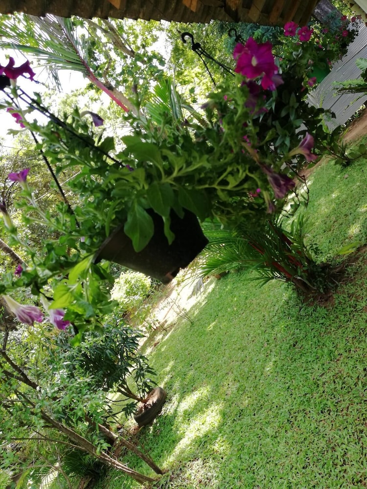 Lal Homestay 35/50