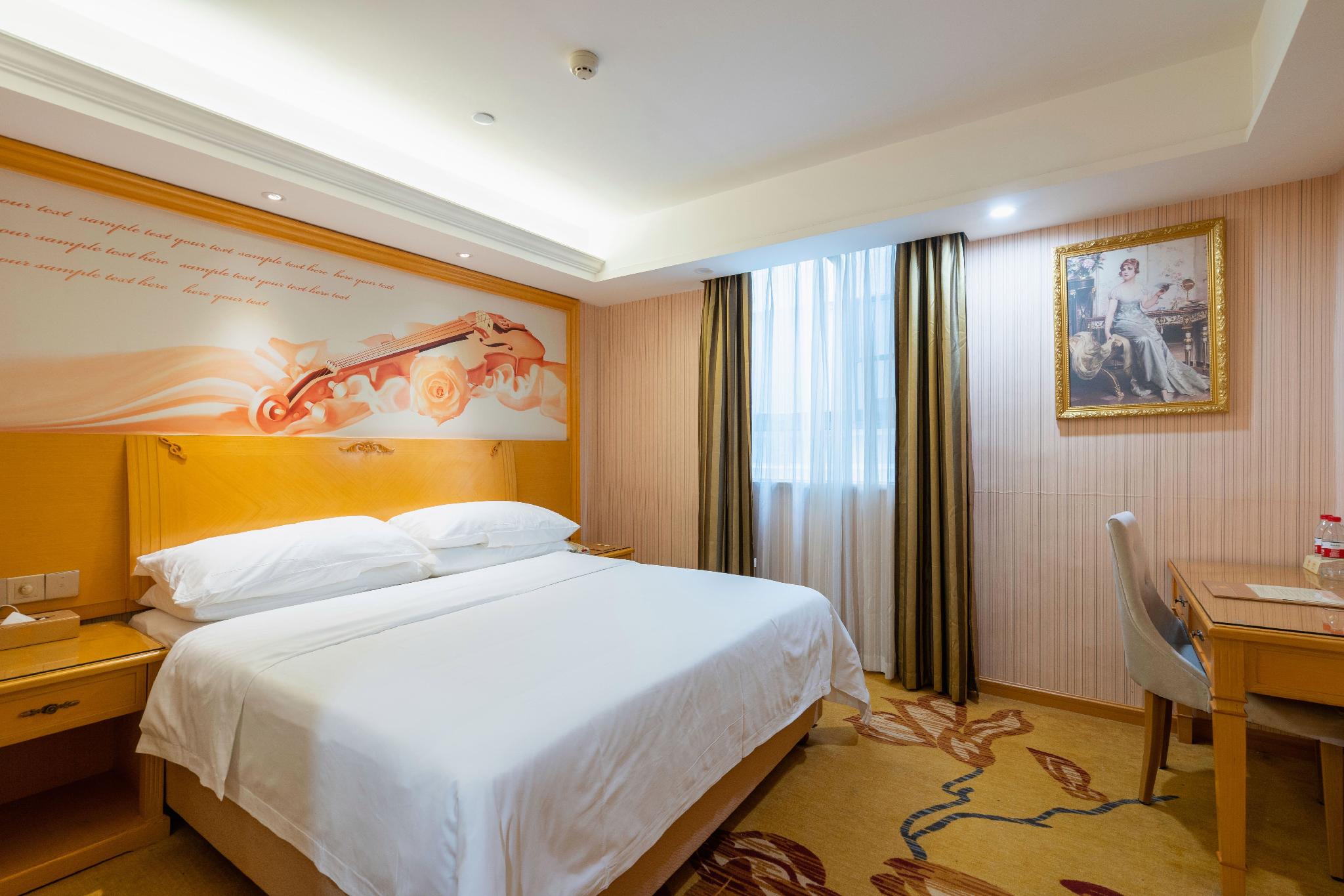 Vienna Hotel (Guangzhou Lanhe) 25/45