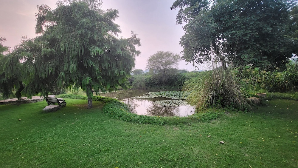 Tree of Life Sariska Manor 45/58