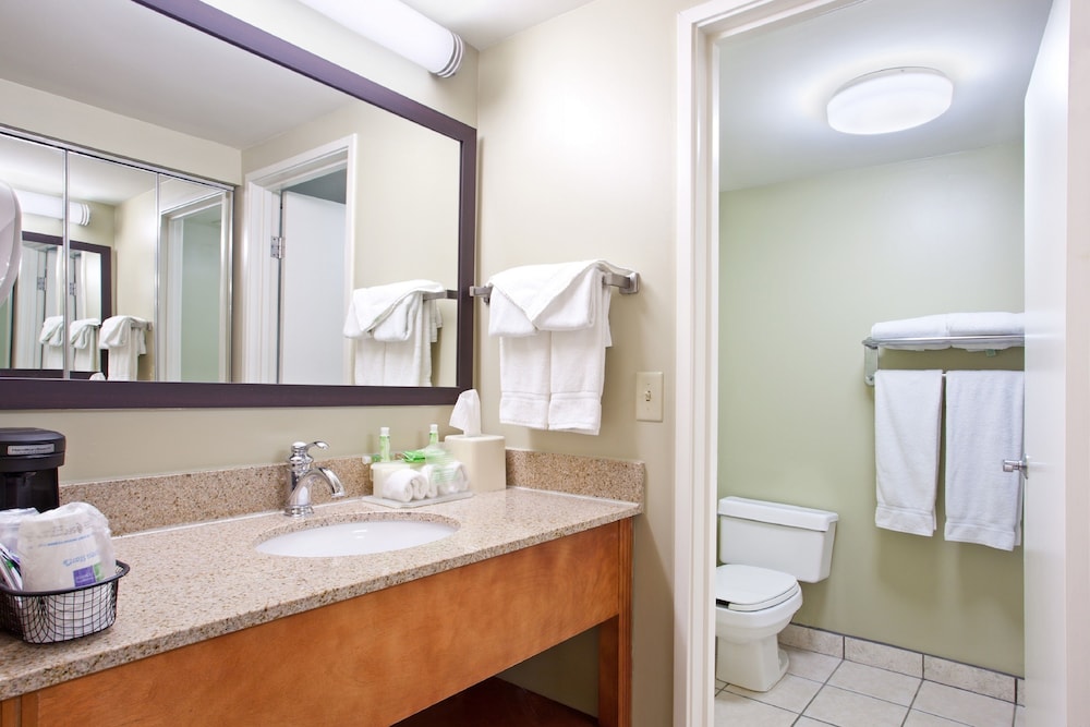 Holiday Inn Express Hotel And Suites Pittsburgh Airport 16/64