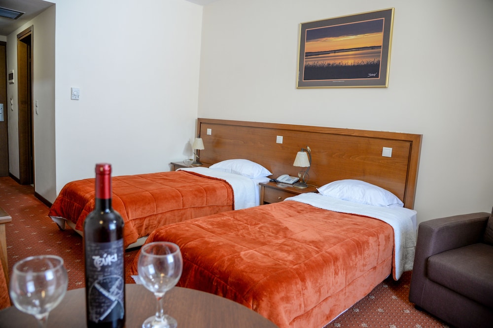 Arta Palace Hotel 11/52