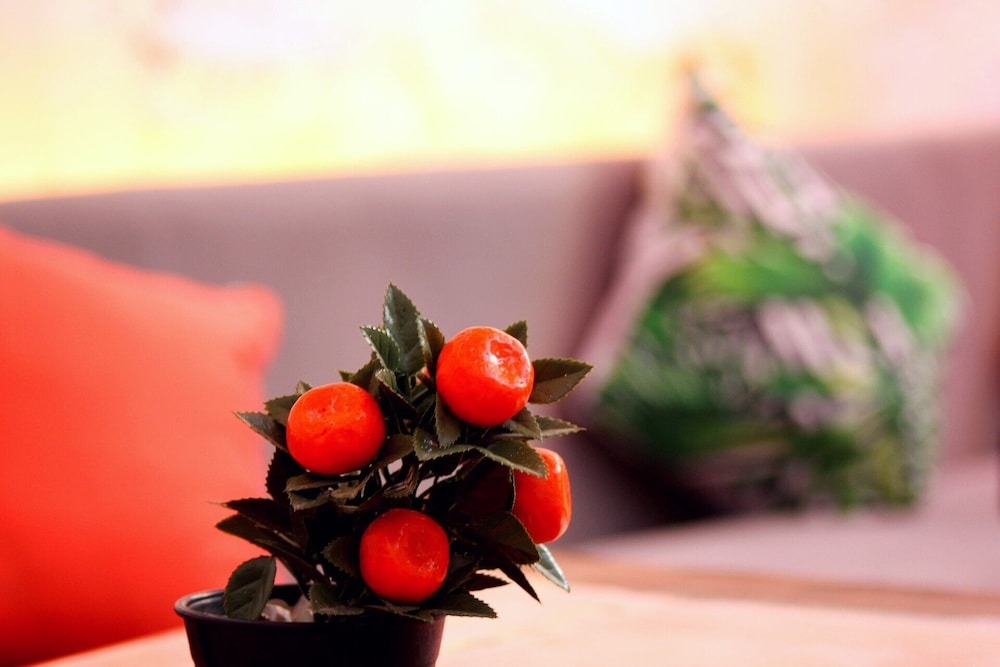 Alacati Lavender Butik Hotel 47/53