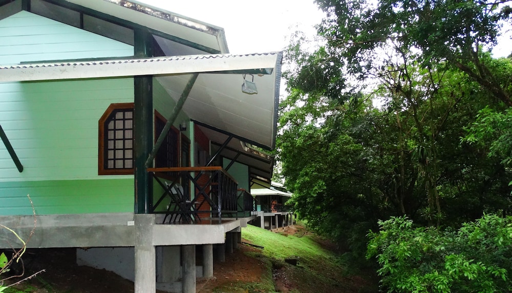 La Selva Biological Station 4/50