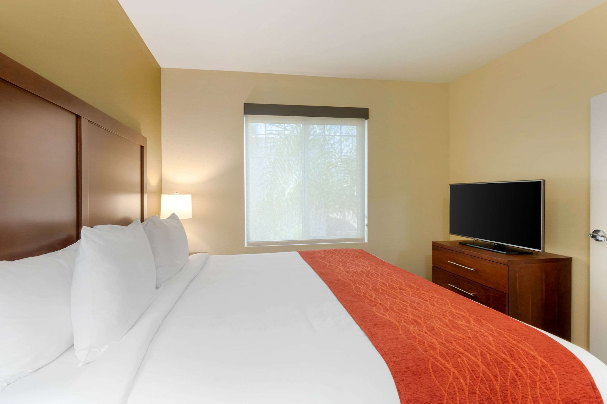 SUITE, KING BED