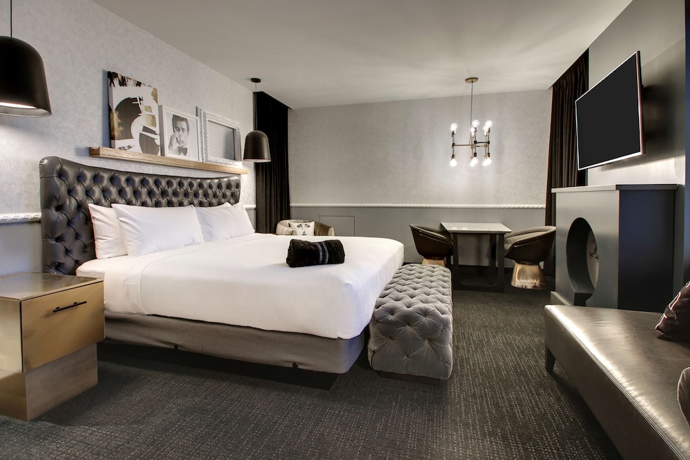 The Rose Hotel Chicago O Hare Tapestry Collection By Hilton 13/74