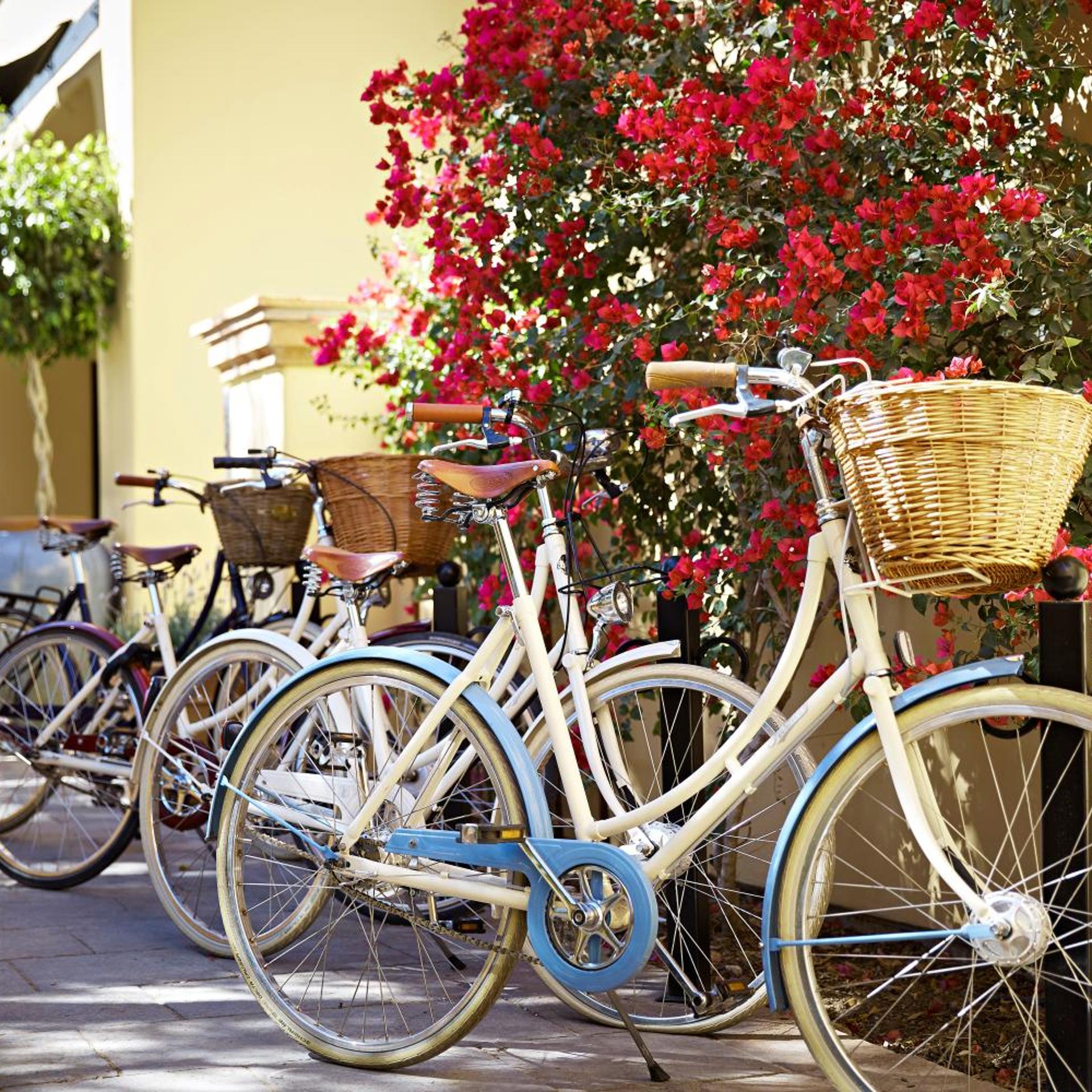 Bespoke Inn, Cafe &amp; Bicycles 22/22