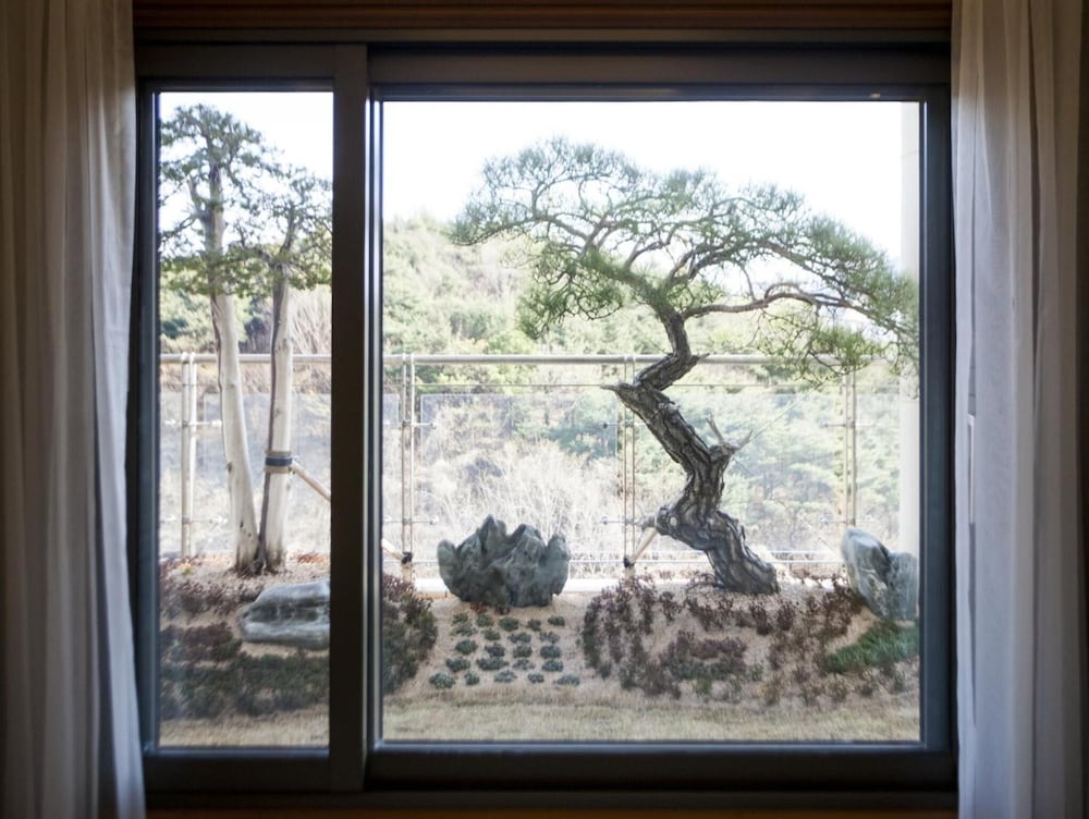 Pine Grove Hotel 37/57
